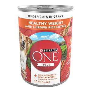 Purina ONE Plus Tender Cuts in Gravy Healthy Weight Lamb and Brown Rice Entree in Wet Dog Food Gravy - (Pack of 12) 13 oz. Cans