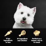 Cesar Simply Crafted Adult Wet Dog Food Toppers for Dry Food, Chicken, Carrots & Green Beans, 1.3 oz Tubs, 10 Count