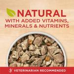 Purina ONE Plus Tender Cuts in Gravy Healthy Weight Lamb and Brown Rice Entree in Wet Dog Food Gravy - (Pack of 12) 13 oz. Cans