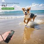 3300ft Dog Training Collar with Remote,Waterproof Dog Shock Collar for Small Medium Large Dogs, Electric Dog Collar with Beep Vibration Shock Boost Shock and Security Lock (Black 2)