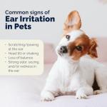 Vetnique Oticbliss Cat & Dog Ear Infection Treatment/Dog Ear Allergy Relief Drops, MicroSilver Yeast Infection Treatment for Dogs, Hydrocortisone for Itching, Redness Swelling (Ear Infection)