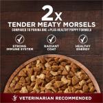 Purina ONE True Instinct with Real Chicken and Duck High Protein Puppy Food Formula Natural with Added Vitamins, Minerals and Nutrients - 15 lb. Bag