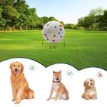 Dog Balls 2.5 Inch, Indestructible Dogs Tennis Balls 6 Pack for Aggressive Chewers, Durable Bouncy Floating Interactive Dog Toys for Large and Medium Dogs, Packed in Mesh Bag (ETPU Material)