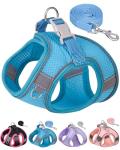 Aecllcea Dog Harness for Small Medium Sized Dog, Step in Puppy Harness and Leash Set Training Walking. (Blue, XXS)