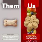 Fruitables Baked Dog Treats, Healthy Pumpkin Treat for Dogs, Low Calorie & Delicious, Free of Wheat, Corn and Soy, Made in the USA, Apple and Crispy Bacon Flavor, 12oz