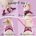 rabbitgoo Dog Harness Small Sized and Leash Set, Step-in Breathable Pet Harness, Soft Walking Reflective Puppy Vest for Small Dogs, Black & Rose Red, S