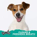 Dingo Dental Sticks for Tarter Control and Freshening Breath, Made with Real Chicken, Great Treats for Small, Medium, and, Large Dogs 15-Count