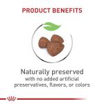 Royal Canin Size Health Nutrition Small Indoor Puppy Dry Dog Food, 2.5 lb Bag