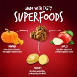 Fruitables Baked Dog Treats, Healthy Pumpkin Treat for Dogs, Low Calorie & Delicious, Free of Wheat, Corn and Soy, Made in the USA, Apple and Crispy Bacon Flavor, 12oz