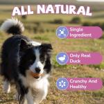 PAWUP Freeze Dried Dog Treats, Single Ingredient Duck, All Natural, Whole-Cut, High Protein Low Fat Treats for Medium & Large Dogs (3.8 oz)