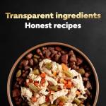 Cesar Simply Crafted Adult Wet Dog Food Toppers for Dry Food, Chicken, Carrots & Green Beans, 1.3 oz Tubs, 10 Count