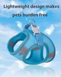 Aecllcea Dog Harness for Small Medium Sized Dog, Step in Puppy Harness and Leash Set Training Walking. (Blue, XXS)