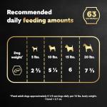 Cesar Warm Bowls Wet Dog Food Roasted Chicken Entree with Sweet Potatoes & Broccoli in Broth, Wet Food for Dogs, 2.7 oz. Bowls, 10 Count