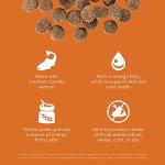 Go! Solutions Skin + Coat Care Salmon Dry Dog Food with Grains, Chicken-Free, Healthy Kibble with Omega-3s & 6s for Soft, Shiny Fur, for Puppies, Adults, & Seniors, 3.5 lb Bag