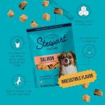 Stewart Wild Salmon Dog Treats, 2.75 oz, ~55 Pieces, Freeze Dried Raw, Single Ingredient, 65% Protein Training Treats or Meal Topper in a Resealable Pouch, Grain Free, Gluten Free