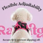 rabbitgoo Dog Harness Small Sized and Leash Set, Step-in Breathable Pet Harness, Soft Walking Reflective Puppy Vest for Small Dogs, Black & Rose Red, S