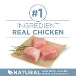 Purina ONE Plus Joint Health Formula Natural With Added Vitamins, Minerals and Nutrients Dry Dog Food - 31.1 lb. Bag