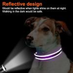 Joytale Reflective Dog Collar, Soft Neoprene Padded, Metal D-Ring, Nylon Pet Collar Adjustable for Medium Dogs, Purple, M