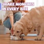 PAWUP Freeze Dried Dog Treats, Single Ingredient Duck, All Natural, Whole-Cut, High Protein Low Fat Treats for Medium & Large Dogs (3.8 oz)