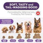 Dog Multivitamin Chewable - Dog Vitamins and Supplements with Glucosamine - 170 Chews - Hip & Joint, Pet Immune Support, Skin & Coat, Gut & Heart Health - Senior & Puppy Multivitamin Pet Supplement