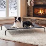 Large Elevated Dog Bed for Indoor & Outdoor Use