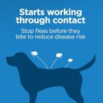 TevraPet Activate II Flea and Tick Prevention for Dogs | 4 Count | Medium Dogs 11-20 lbs | Topical Drops | 4 Months Flea Treatment