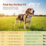 Small Dog Collar with Flower, Dog Collars for Small Dogs for Female Male Dogs Cute Dog Collar with Pendant