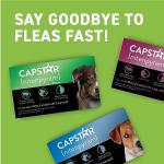 Capstar for Dogs (nitenpyram), Fast-Acting Oral Flea Treatment for Dogs Over 25+ lbs, Vet-Recommended Flea Medication Tablets Start Killing in 30 Minutes, 6 Doses