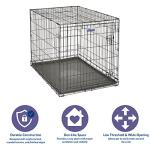 MidWest 42-Inch Folding Dog Crate with Divider