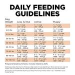 Go! Solutions Skin + Coat Care Salmon Dry Dog Food with Grains, Chicken-Free, Healthy Kibble with Omega-3s & 6s for Soft, Shiny Fur, for Puppies, Adults, & Seniors, 3.5 lb Bag