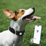 Leather Dog Collar with Airtag Holder - Apple Air Tag Dog Collars - Soft Tracking GPS Pet Collar for Small Medium Large Dogs Breed Puppy (Black, S, 9"-12" Neck Fit)