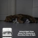 Energizer Smart Pet Treater with 2K Video Camera, 2-Way Audio, Night Vision, 5 Ghz & 2.4 Ghz Dual Band Wi-Fi, Motion Tracking, Recorded Messages, Dogs & Cats Remote Feeding, Cloud/MicroSD Card Storage