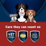 Pet Protect Dog Hip & Joint+ Supplement for Active & Aging Dogs, Vet-Formulated Synovi G4, Dog Glucosamine, Chicken-Flavored Soft Chews (120 Count)