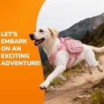 AOKOWN Dog Harness for Large Dogs, No Pull Service Dog Vest with Handle & Hook, Adjustable Dog Backpack with Side Pockets for Hiking Walking Training Running, Pink, L