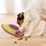 Outward Hound by Nina Ottosson Dog Treat Maze Dog Puzzle Enrichment Toy, Level 2 Intermediate, Green