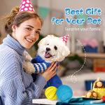 HIPPIH Dog Puzzle Toys 2 Pack, Dog Enrichment Toys for Large Dogs & Small Dogs, Puppy Balls for Treat Dispensing, Durable Balls for Teeth Cleaning/IQ Training/Chewing