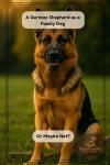 A German Shepherd as a Family Dog Or Maybe Not? (Dog Breed Guide for Beginners: How to Choose the Best Family Dog)
