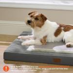 Bedsure Dog Beds Large Sized Dog- Orthopedic Pet Beds for Crate with Removable Machine Washable Cover, NOT Waterproof Egg Crate Foam Puppy Mat, Suitable for Pet Up to 50 lbs, 35x22x2.8, NOT Chewproof