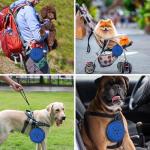 2 Pack [Slow Feeder Design + Regular], Collapsible Dog Bowl Travel Portable Pet Bowls, [34oz,1000ml] Foldable Food Water Feeding Dishes for Traveling Hiking Walking with Carabiners [Blue,Black]