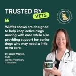 Wuffes Advanced Dog Hip and Joint Supplement with Glucosamine, Chondroitin, Omega 3, MSM, and Green Lipped Mussel, 60 Pork Flavored Chews for Small and Medium Dog Breeds