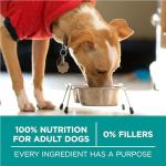 Purina One Plus Digestive Health Formula Dry Dog Food Natural with Added Vitamins, Minerals and Nutrients - 16.5 Lb. Bag