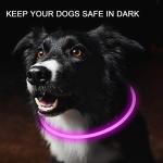 Novkin 2-Pack LED Dog Collar, Light Up Dog Collars,Rechargeable Dog Lights for Night Walking，Universal, Reusable Safety Necklace for Small Medium Large Dogs RED&Pink