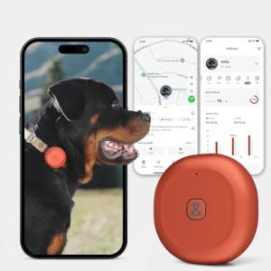 Molly&Cody GPS + Bluetooth Pet Tracker for Cats & Dogs – Real‑Time Tracking, Virtual Fence, IP67 Waterproof, Up to 60‑Day Battery, Health Monitoring, iOS/Android – Subscription Required (Red)