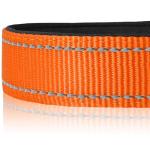 Joytale Reflective Dog Collar, Soft Neoprene Padded, Metal D-Ring, Nylon Pet Collar Adjustable for Large Dogs, Orange, L