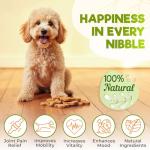 ZENO Glucosamine HCL & Hip and Joint Chews for Dogs - 150 pcs - Advanced Hip and Joint Support for Dogs - with MSM & Green Lipped Mussel - Chicken