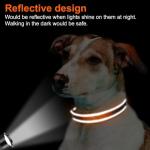 Joytale Reflective Dog Collar, Soft Neoprene Padded, Metal D-Ring, Nylon Pet Collar Adjustable for Large Dogs, Orange, L