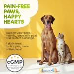 ZENO Glucosamine HCL & Hip and Joint Chews for Dogs - 150 pcs - Advanced Hip and Joint Support for Dogs - with MSM & Green Lipped Mussel - Chicken