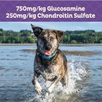 Old Mother Hubbard Wellness Hip & Joint Dog Biscuits, Natural, Training Treats, Chicken, Apples, Oats, and Carrots Flavor, Mini Size, (20 Ounce Bag)