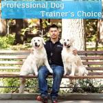 PetSpy Shock Collar for Dogs-Waterproof Dog Shock Collar with Remote Control,Vibration,Electric Shock,Beep-E Collar for Dogs Training,Collar with Remote for 10-140 LBS