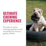 KONG Extreme Tires - KONG's Most Durable Natural Rubber Chew & Fetch Toy - Treat Dispenser Dog Tire Toy - Pet Supplies for Outdoor & Indoor Play - For Medium/Large Dogs